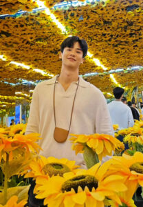 เต-ตะวัน-ดอกททานตะวัน