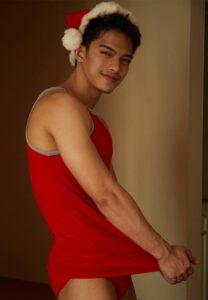 Palm-ซานต้า