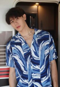 Wtnut-เสื้อลาย